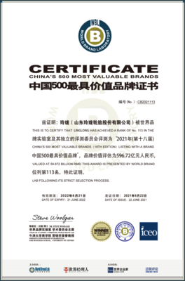 我市兩品牌榮登2021年“中國(guó)500最具價(jià)值品牌”榜單，節(jié)能環(huán)保技術(shù)開發(fā)成亮點(diǎn)